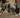 Groep mensen springend in nieuwe sneakers, voorbeeld van sneaker releases van februari.
