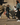 Groep mensen springend in nieuwe sneakers, voorbeeld van sneaker releases van februari.