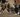 Groep mensen springend in nieuwe sneakers, voorbeeld van sneaker releases van februari.