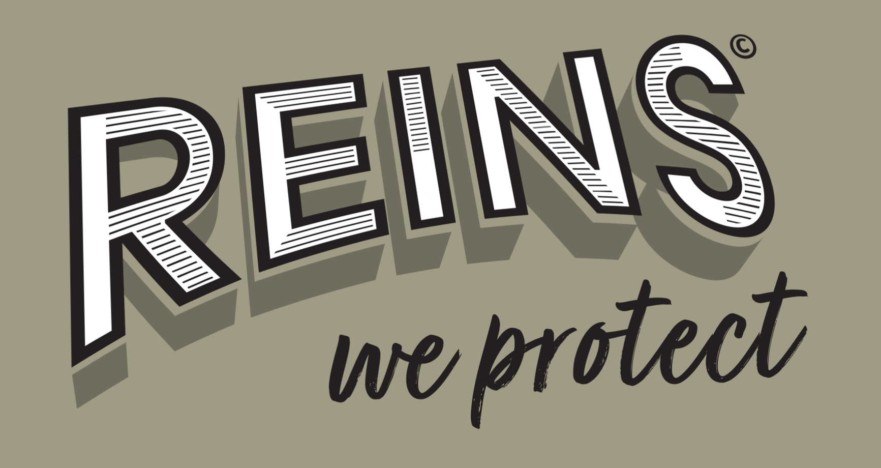 Logo REINS bruin